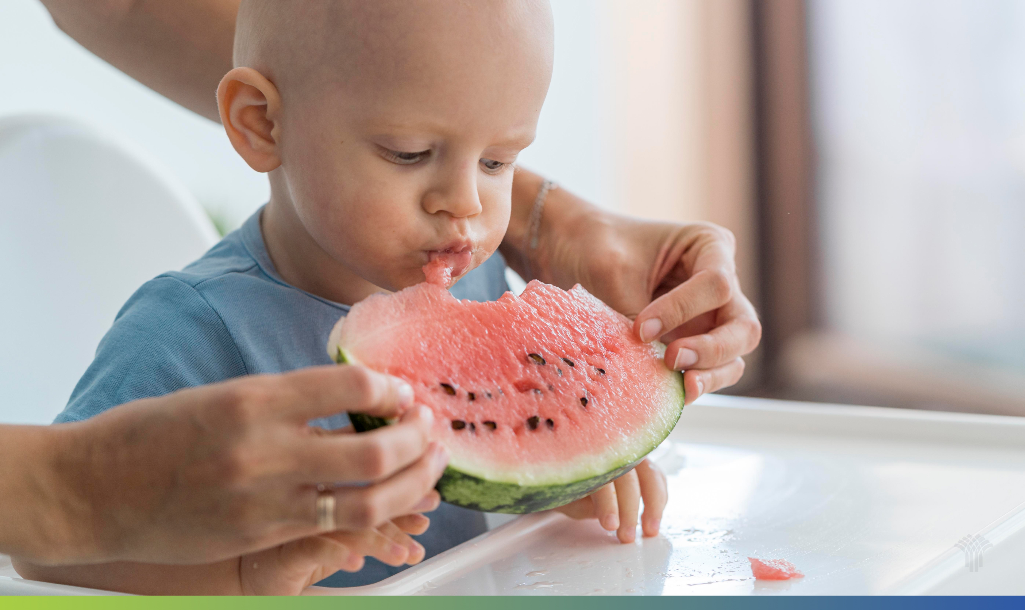 imagem ilustrativa do post: Introdução alimentar: tudo que pais de primeira viagem precisam saber